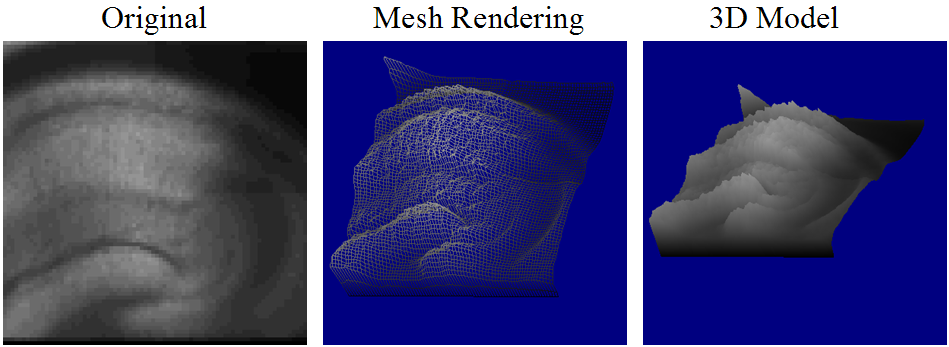 3D Imaging Data Rendering