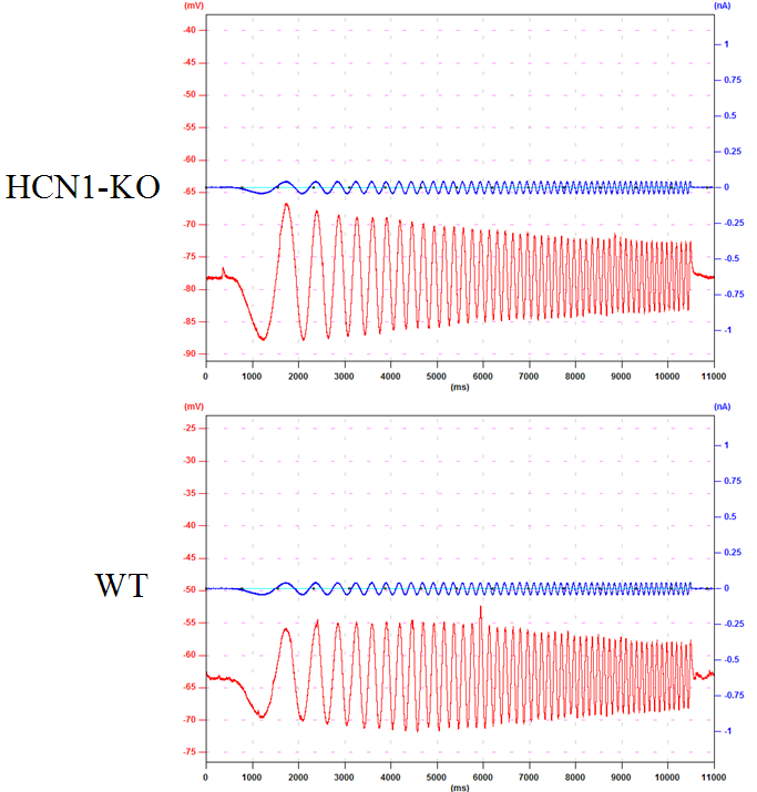 Chirp Current Injection