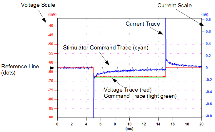 Electrophysiology Window