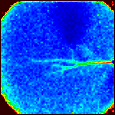Maximum Amplitude Map