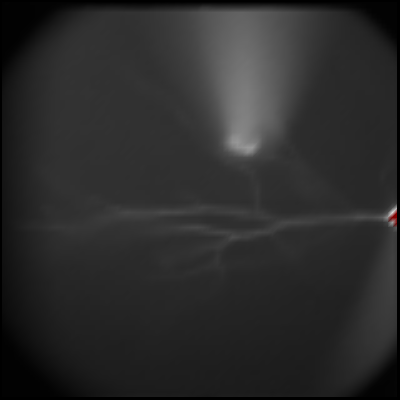 Linear Interpolated