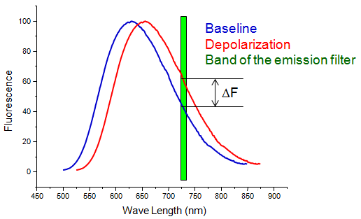 Voltage-sensitive Dye