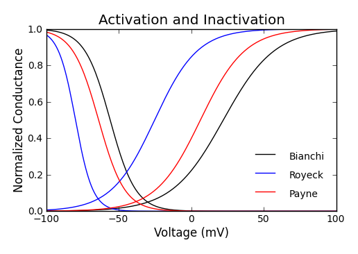 Activation and Inactivation